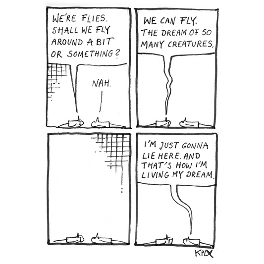 Fly