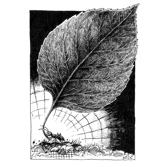 #inktober 9