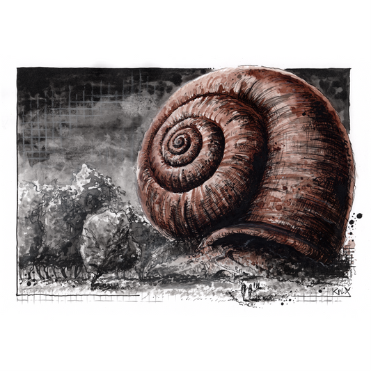 Inkfriday 17 Shell Fine Art Print